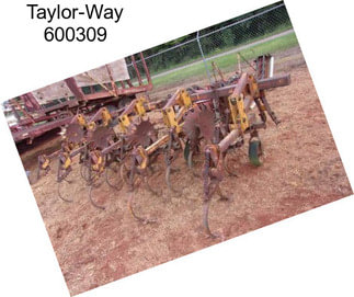 Taylor-Way 600309