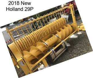 2018 New Holland 29P