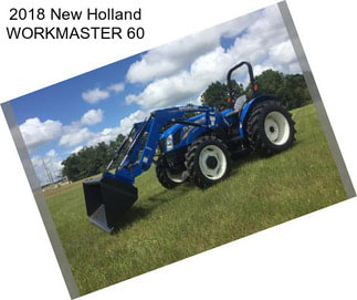 2018 New Holland WORKMASTER 60