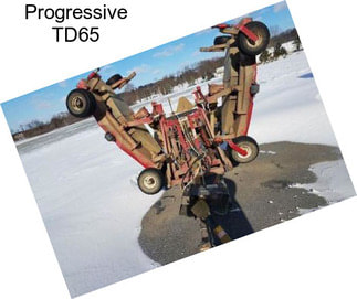 Progressive TD65