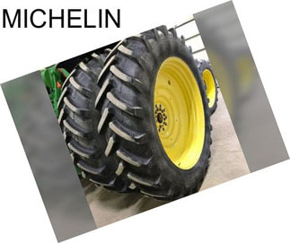 MICHELIN