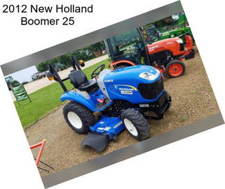 2012 New Holland Boomer 25