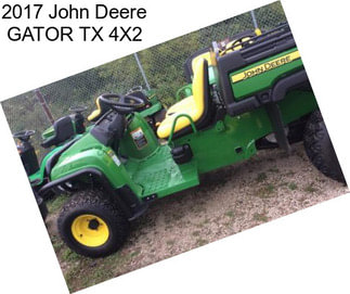 2017 John Deere GATOR TX 4X2