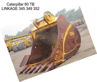 Caterpillar 60\