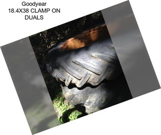 Goodyear 18.4X38 CLAMP ON DUALS