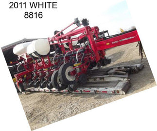 2011 WHITE 8816