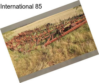 International 85