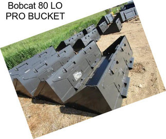 Bobcat 80\