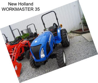 New Holland WORKMASTER 35