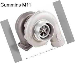 Cummins M11