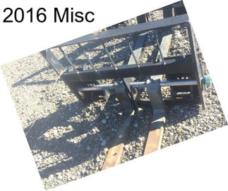 2016 Misc