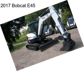 2017 Bobcat E45