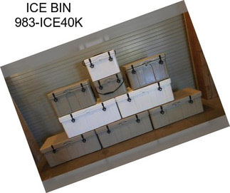 ICE BIN 983-ICE40K