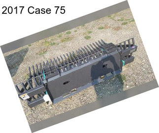 2017 Case 75