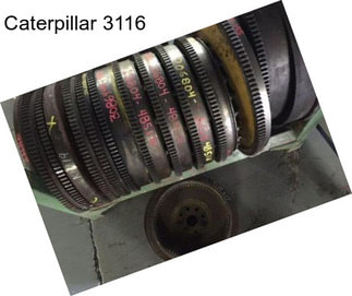Caterpillar 3116