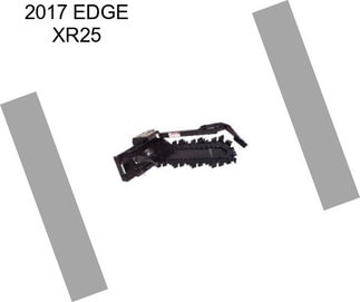 2017 EDGE XR25