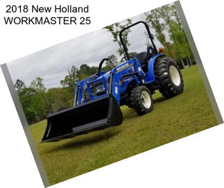 2018 New Holland WORKMASTER 25