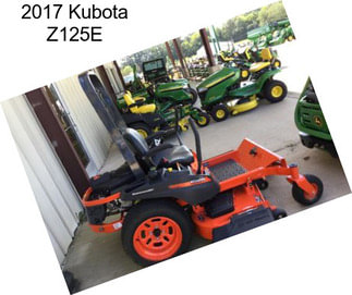 2017 Kubota Z125E