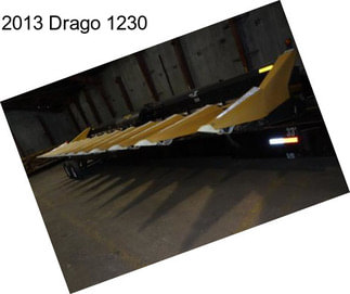 2013 Drago 1230