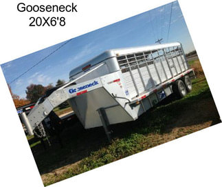 Gooseneck 20X6\'8\