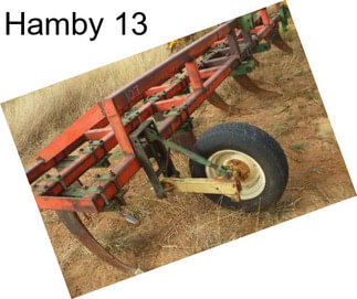 Hamby 13