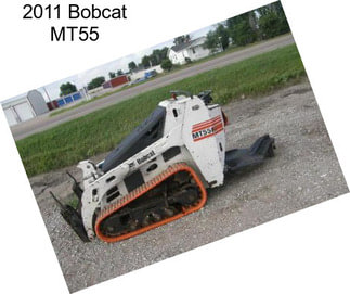 2011 Bobcat MT55