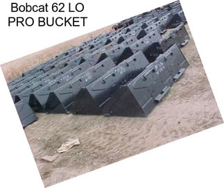 Bobcat 62\