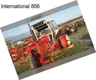 International 856