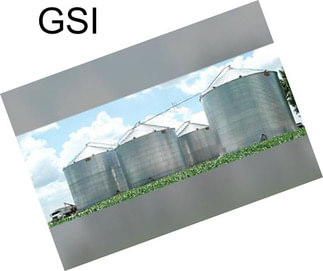 GSI