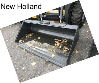 New Holland