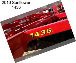 2016 Sunflower 1436