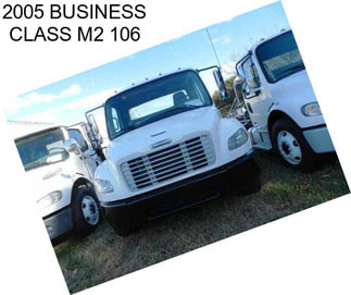 2005 BUSINESS CLASS M2 106