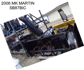 2006 MK MARTIN SB87BIC