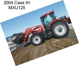 2004 Case IH MXU125