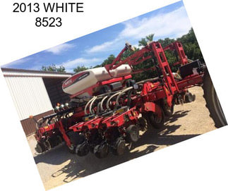 2013 WHITE 8523