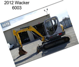 2012 Wacker 6003