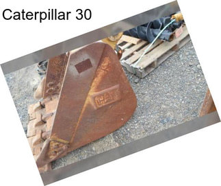 Caterpillar 30\