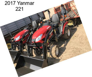 2017 Yanmar 221