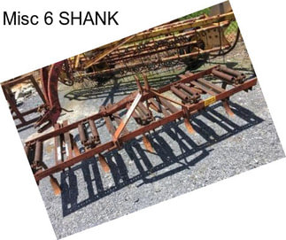 Misc 6 SHANK