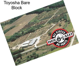 Toyosha Bare Block