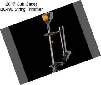 2017 Cub Cadet BC490 String Trimmer