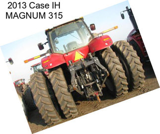 2013 Case IH MAGNUM 315