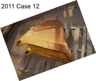 2011 Case 12\