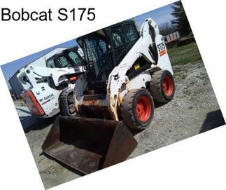 Bobcat S175