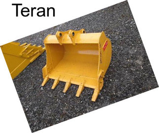 Teran