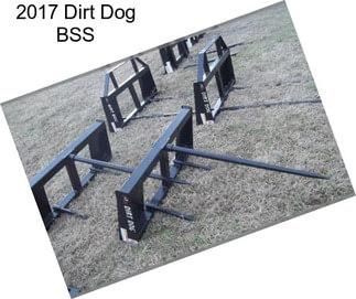 2017 Dirt Dog BSS