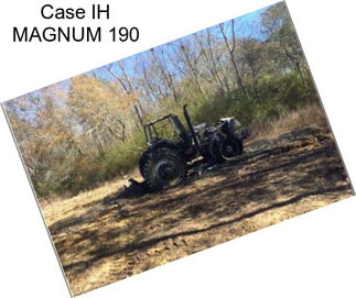 Case IH MAGNUM 190