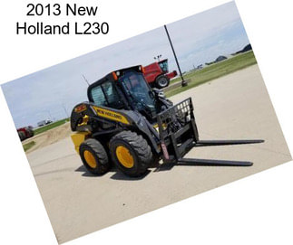 2013 New Holland L230