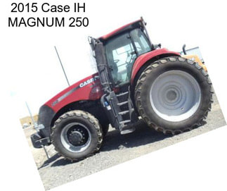 2015 Case IH MAGNUM 250