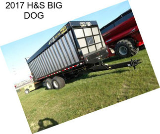 2017 H&S BIG DOG